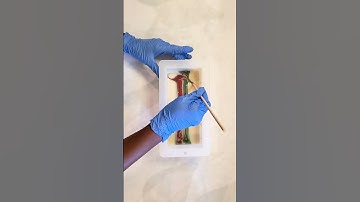 Christmas/Holiday Mantra Swirl Design Technique #Short | Cold Process Soap Making