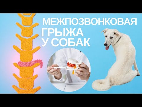 Видео: Наркотики, чтобы успокоиться