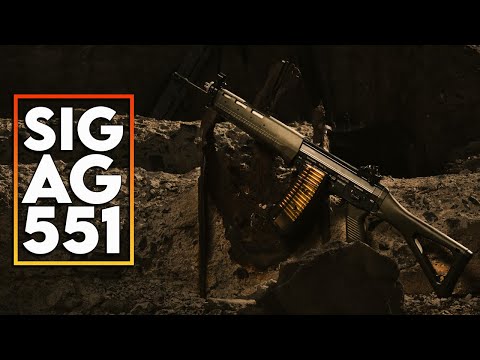 Sig AG 551 - The Tale of a Unicorn