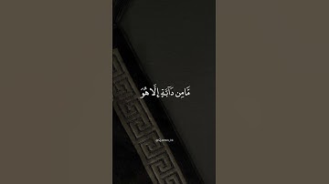 سورة هود فارس عباد #قرآن #quran