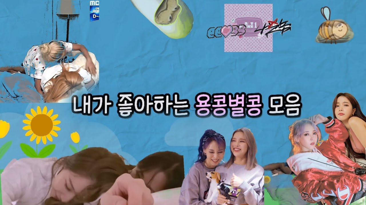 마마무 채널에서 용콩별콩만 쏙 빼서 모아보기 (feat. 용쾅별쾅)