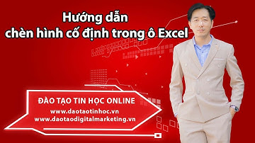 Hướng dẫn chèn hình cố định trong ô Excel - Daotaotinhoc.vn