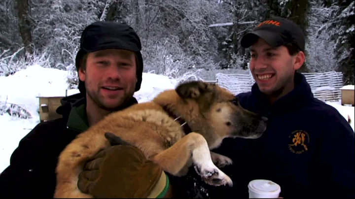 Screamin'  Hemann Alaskan Dog Musher Pioneer