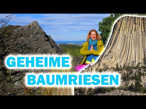 Video: Warum Hängen Sie Einen Stern An Die Spitze Des Baumes?