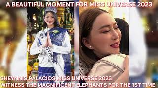 SHEYNNIS PALACIOS MISS UNIVERSE 2023 WITNESS THE MAGNIFICENT ELEPHANTS FOR THE 1ST TIME IN HER LIFE!