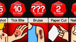 Comparison: Wounds That Heal The Fastest (Part 3)