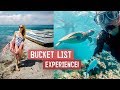 FINALLY Visiting The GREAT BARRIER REEF! You HAVE to See This in Australia (Sharks, Turtles & More)