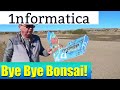 Bye Bye Bonsai!