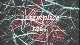 SEMPLICE SAI - JENNY B. (cover by me)