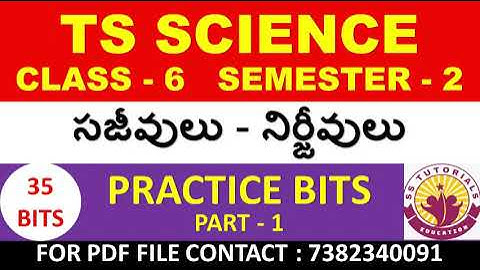 CLASS 6TH SCIENCE PRACTICE BITS IMP BITS TET DSC IMP BITS