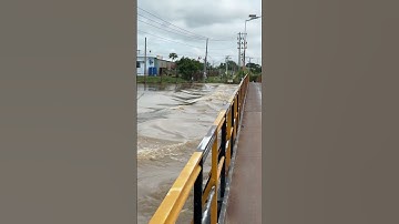 Nước ngập Phường Bình Thuận #ngậpnước #nướcngập #cầuđúc