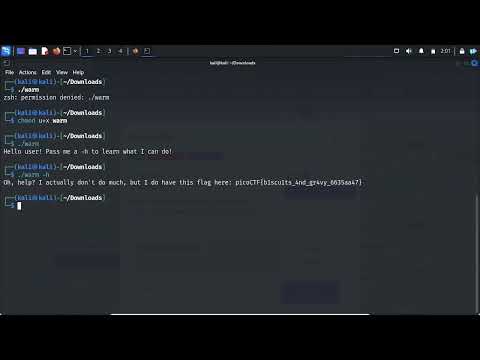 Cracking the Code: picoCTF General Skills - Wave a Flag Walkthrough (Beginner Friendly)