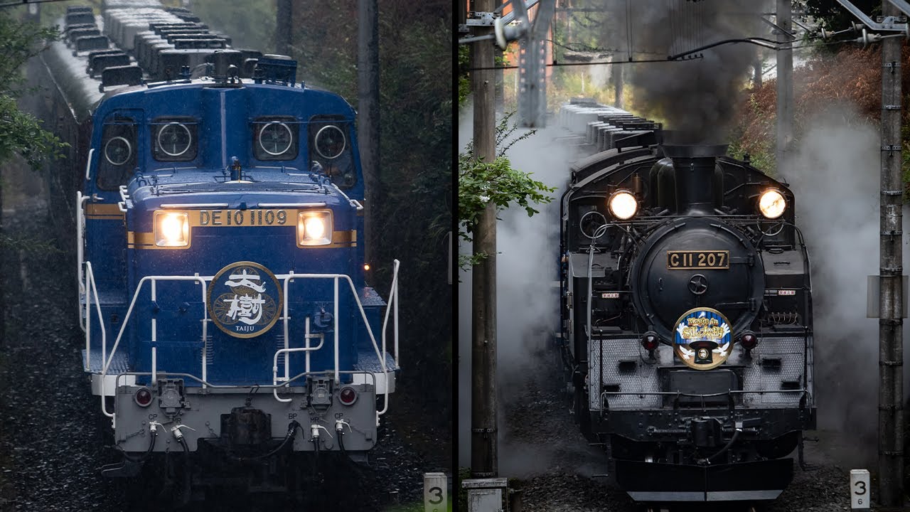 【SL大樹・DL大樹】Magic in SL大樹が運行！DLは青釜が代走2025.8.23【C11 207・DE10 1109】