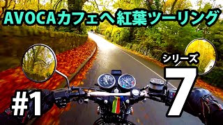 AVOCAカフェへ紅葉ツーリング #1 - はじめまして、緊張してます -