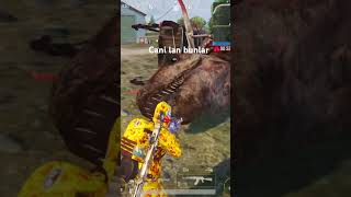KÖPEĞE SIKMIŞLAR #pubgmobile #keşfet #pubg #pubglover #media #pubglover
