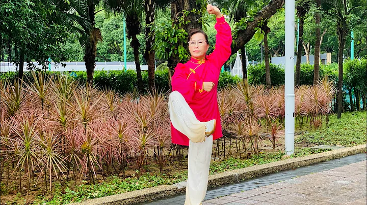 Sifu Tsui Tin Ying24.