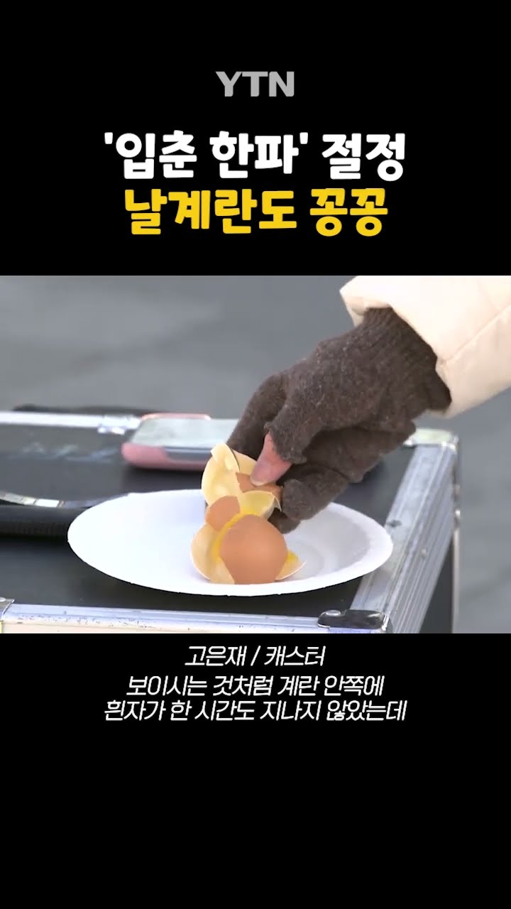 날계란도 꽁꽁 #shorts / YTN