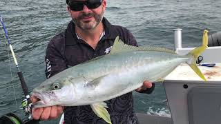 Surtees 540Ht Workmate