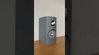 IMG 4268