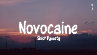 Shiloh Dynasty - Novocaine (Lyrics) Resimi