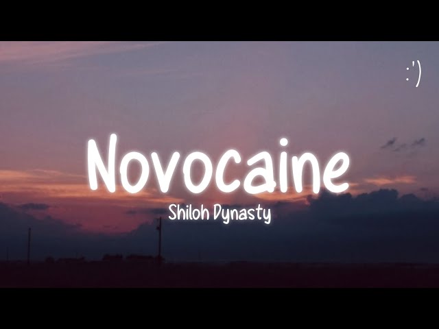 Shiloh Dynasty - Novocaine (Lyrics) class=