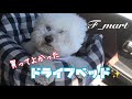 買ってよかったドライブベッド　-ビションフリーゼ犬-