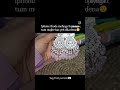 #earings #valentinesday #youtubeindia #shortvideos #makeup #viralvideos