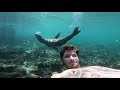 Galapagos SURF and SEA LIONS, SICKEST EXPERIENCE EVER!! || PART 2