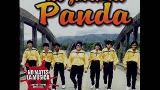 Los Juveniles Panda - Picaflor