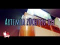 Artemia Aufzucht DIY