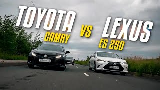 :   &  .  Toyota Camry  Lexus ES.  + +  .