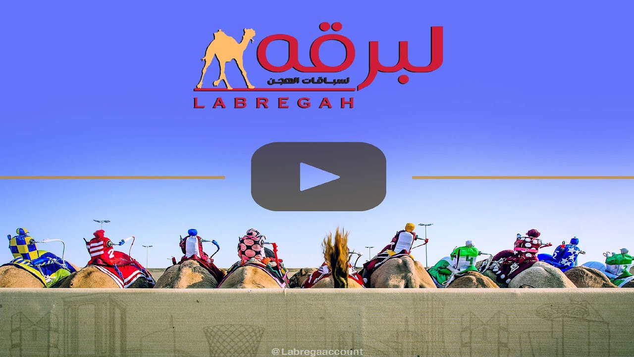 البث المباشر.. لمنافسات سباق الهجانة (مهرجان ولي عهد السعودية للهجن) مساء الأحد 07-09-2025