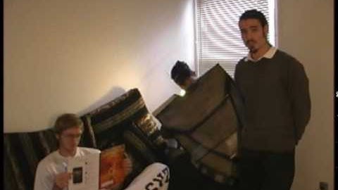 The Brown Marmorated Stink Bug