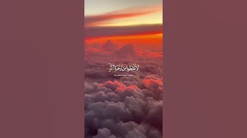 ما تيسر من سورة الزمر | القرآن الكريم | القارئ ياسر الدوسري