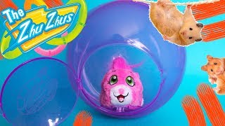 Хомяк в шаре / Питомец Zhu Zhu Pets игрушка