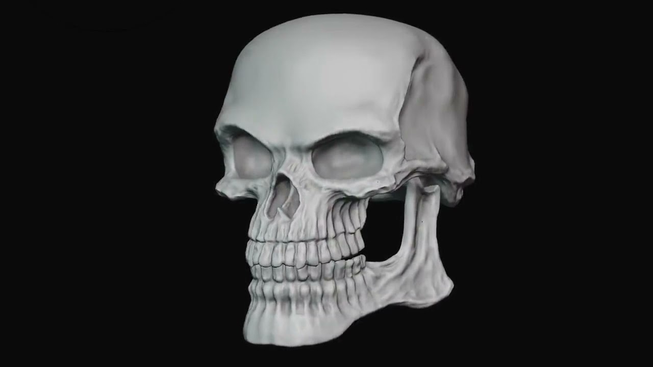 That biker skull troll face thing