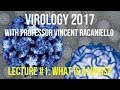 Virology Lectures 2017 #1: What is a Virus?