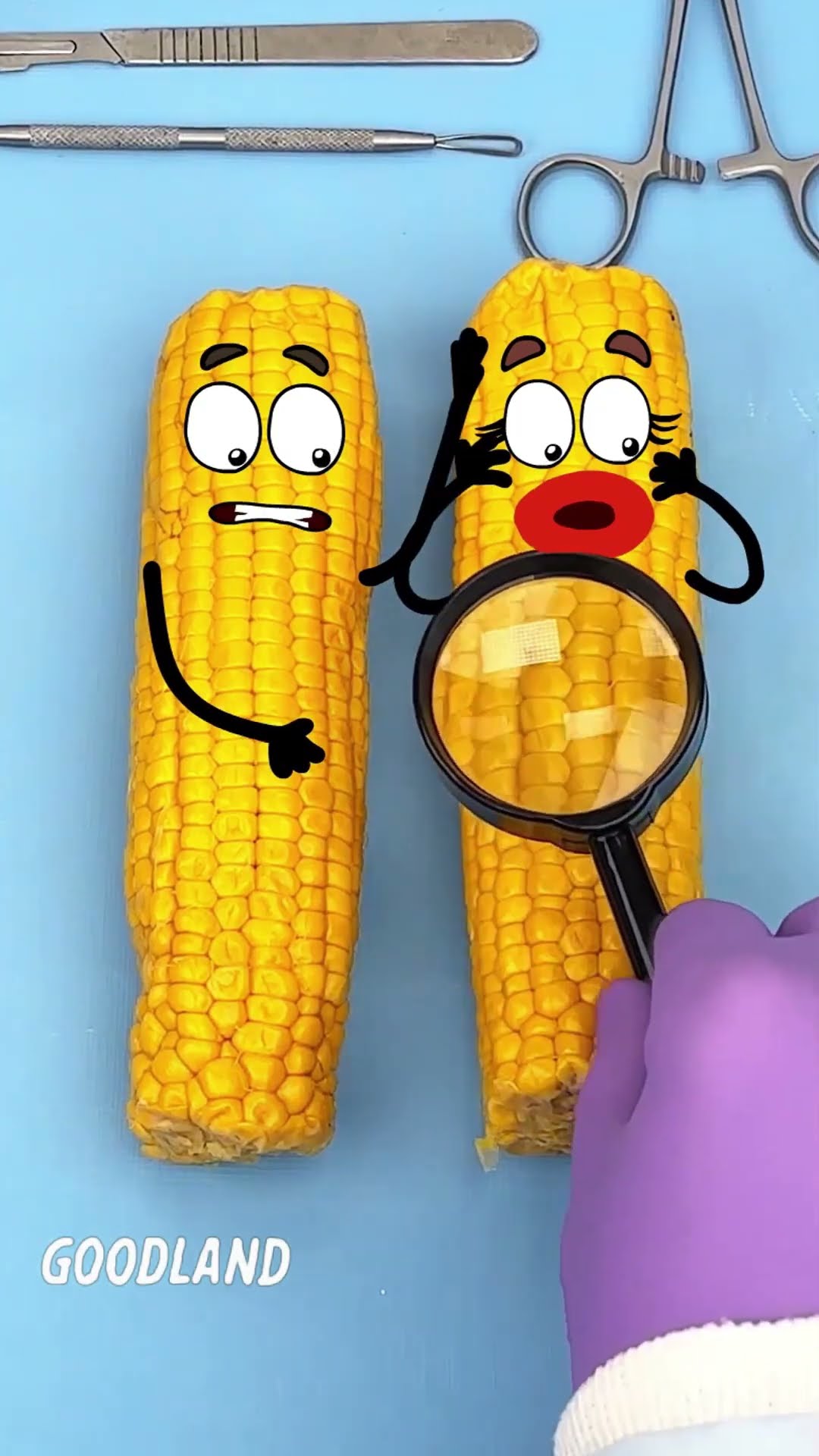 Goodland | Operation on corn, birth of popcorn ? #doodles #animation #cartoon #GOODLAND