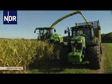 Großeinsatz Maishäckseln 2022 Maisernte Lohnunternehmen Landwirtschaft Silomais farmer corn harvest