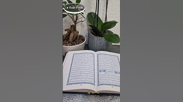 #الجمعة #الحمد_لله #سورة_الكهف #اللهم_صل_على_محمد_وال_محمد الله