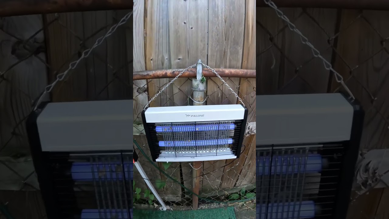 Flash sale on mosquito killer lamp! 