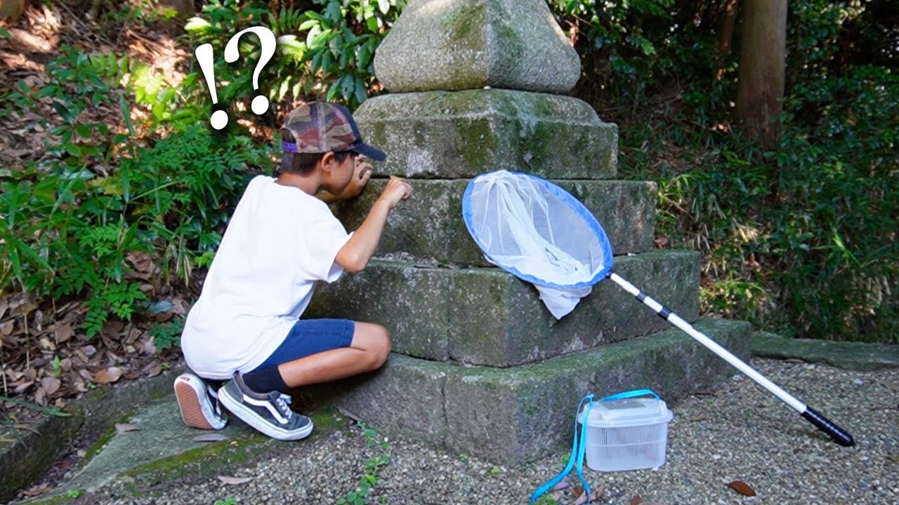 【トカゲ釣り】ヤバいトカゲが釣れた！