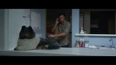 The Choice  travis not keeping promise gabby get in car accident, life or death matter