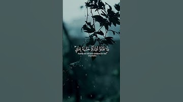 سورة الإسراء الآية (30/31/32) #إنَّ_ربَّك_يبسط_الرزق_لمن_يشاء #القارئ_ياسر_الدوسري