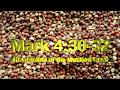 A Reflection on the Parable of the Mustard Seed (Mark 4:30-32) - Samuel Klemperer