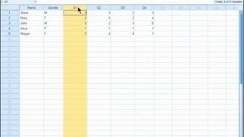 SPSS 19 Training : Assigning Variable Labels