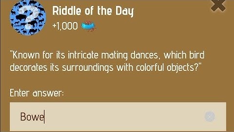 9 January Zoo Riddle of the day code | Riddle of the day code | #zooriddlecode | #khpalwakurmar
