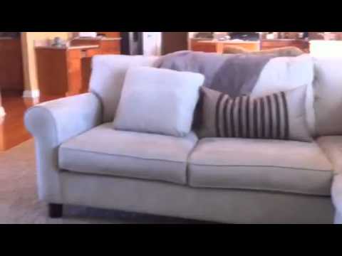 Super fast Maltese Bichon running around - YouTube