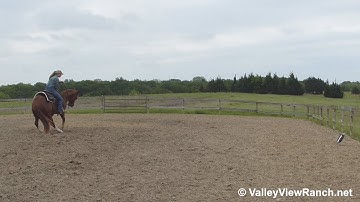 Gimme Checks - working the flag! - ValleyViewRanch.net