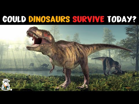 Video: Ar dinozaurai galėtų išgyventi šiandien?